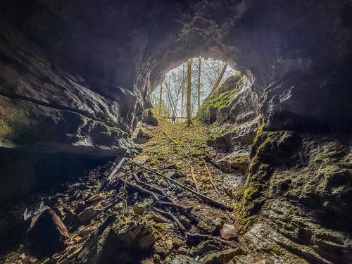 7942 Priceville Rd, Munfordville, KY, 42765-9581 | Card Image