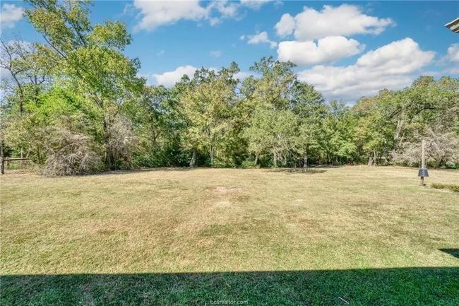 Backyard - Tree line | Image 25