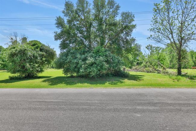 View of the lots from the street | Image 13