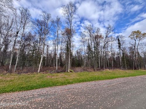 14597 E Sculpin Street, Talkeetna, AK, 99676 | Card Image