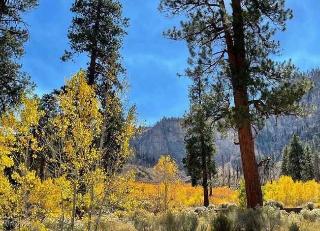 MT. CHARLESTON AREA - Four Seasons | Image 28