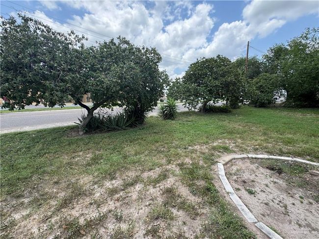 View of grassy yard | Image 6