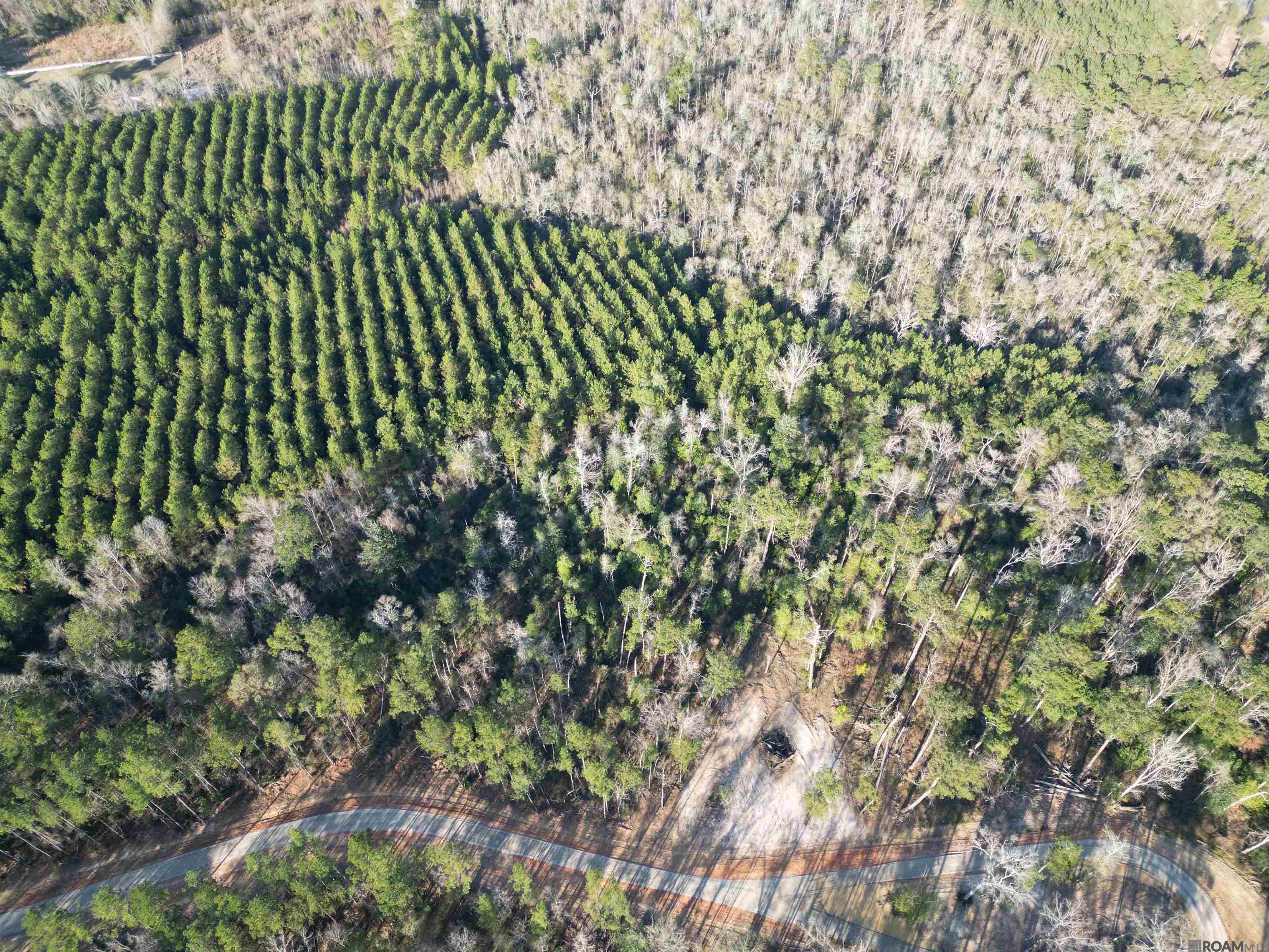 Land in Livingston 3