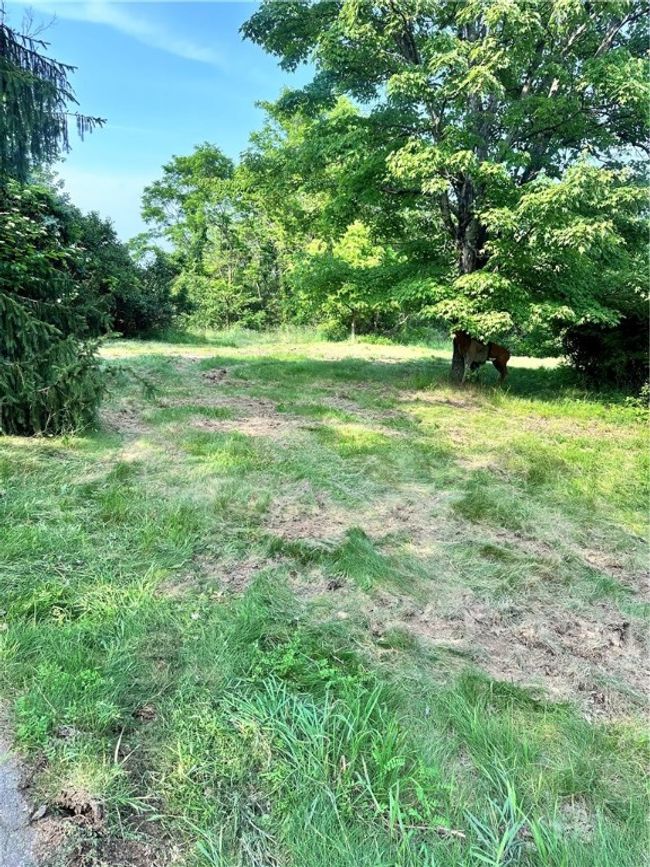 127 Pax View Hills Lane, House other with 4 bedrooms, 3 bathrooms and null parking in Unity Twp PA | Image 24