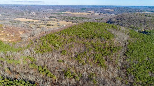 0 Rock Creek Rd, Home with 0 bedrooms, 0 bathrooms and null parking in Eva AL | Image 14