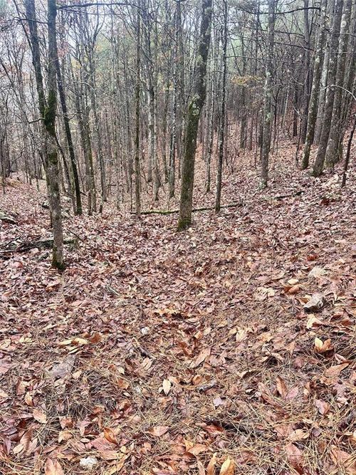 01235 Sugarberry Trail, Broken Bow, OK, 74728 | Card Image