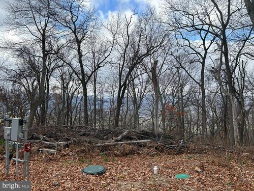 220 High Knob Rd, OLD FIELDS, WV, 26845-9154 | Card Image