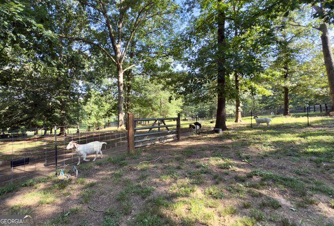 1780 Double Bridge Rd, House other with 3 bedrooms, 4 bathrooms and null parking in Demorest GA | Image 73