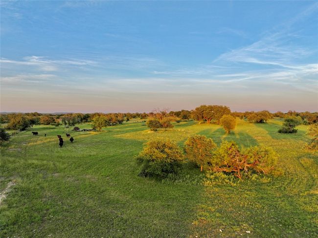 View of grassy yard featuring a rural view | Image 34