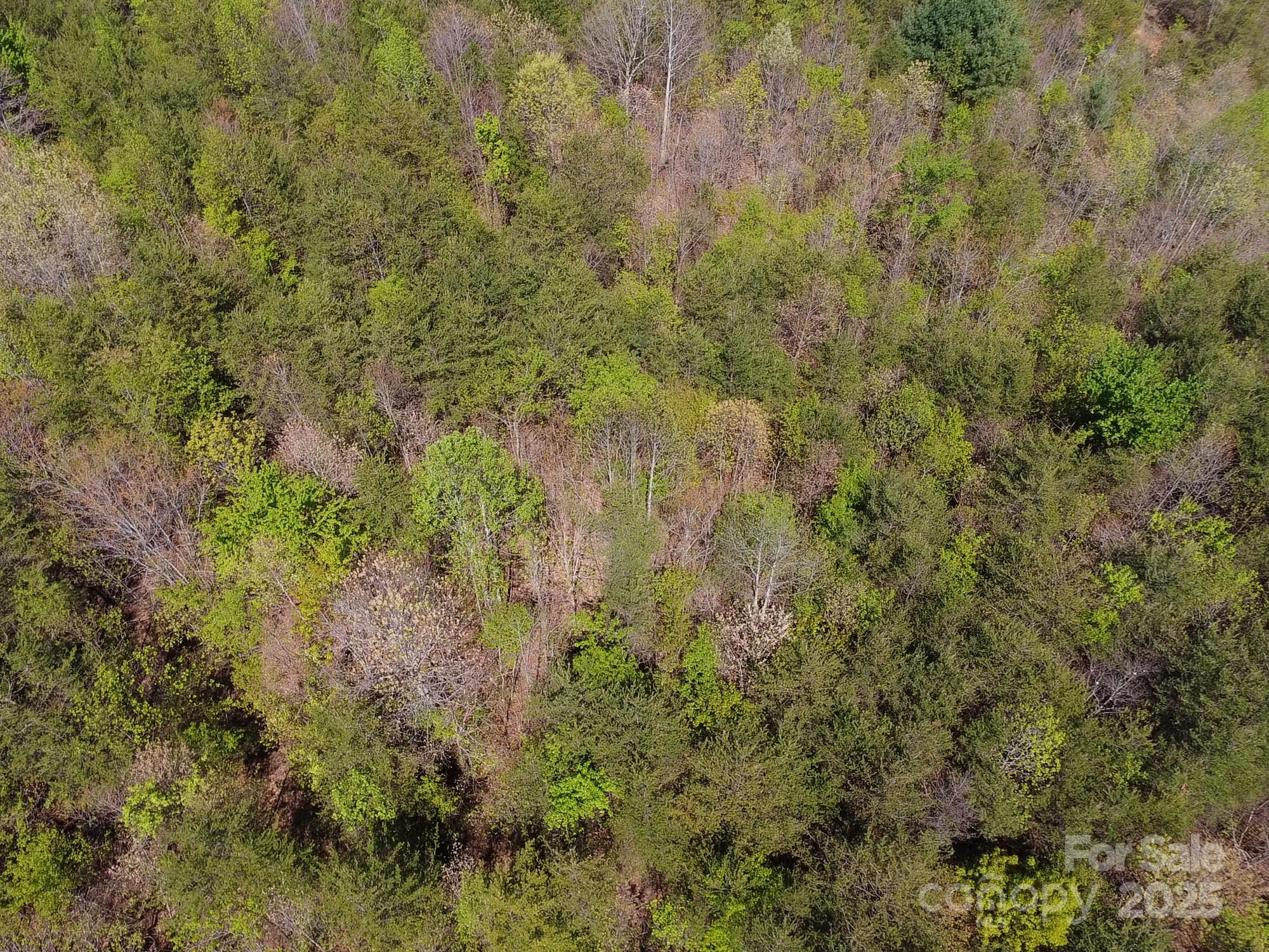 Land in Morganton 5