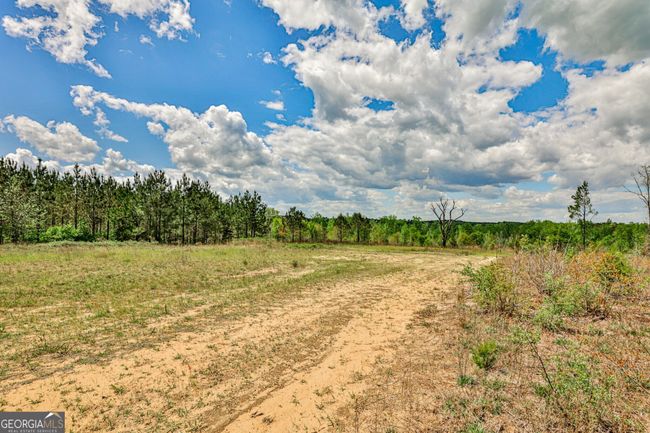 0 Kemp Rd, Home with 0 bedrooms, 0 bathrooms and null parking in Buena Vista GA | Image 8