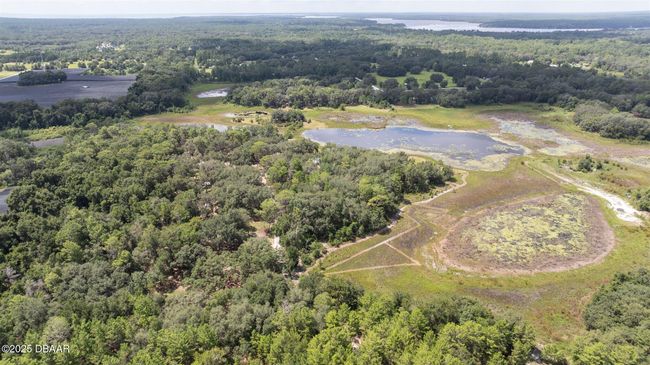 111 Penny Acres Ln, House other with 3 bedrooms, 2 bathrooms and null parking in Welaka FL | Image 54