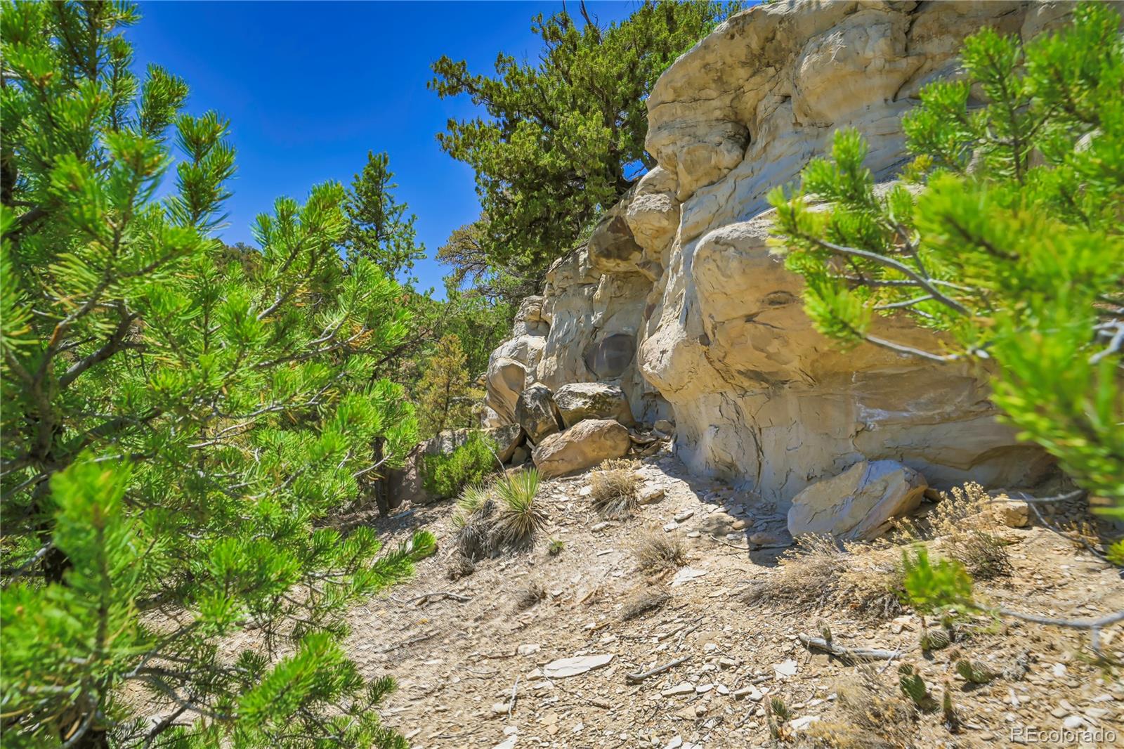 Land in Aguilar 5