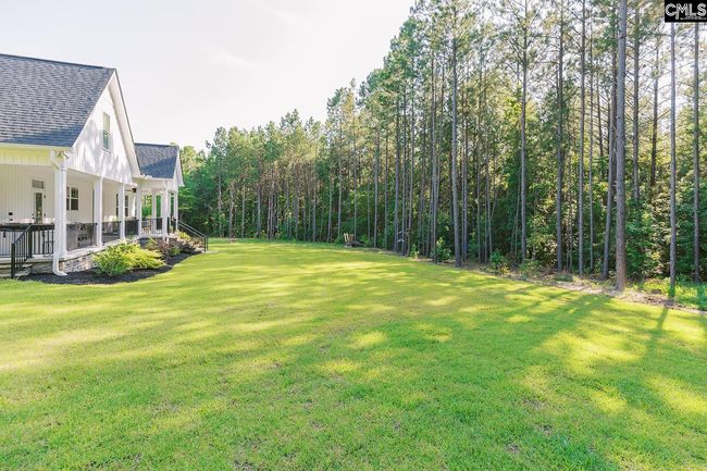 1132 Dan Comalander Rd, House other with 3 bedrooms, 5 bathrooms and null parking in Chapin SC | Image 9