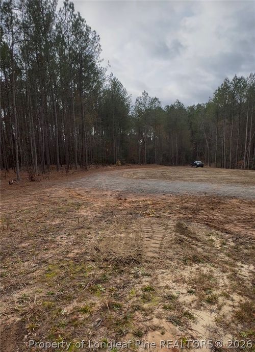183 Thistlecone Lane, Sanford, NC, 27330 | Card Image
