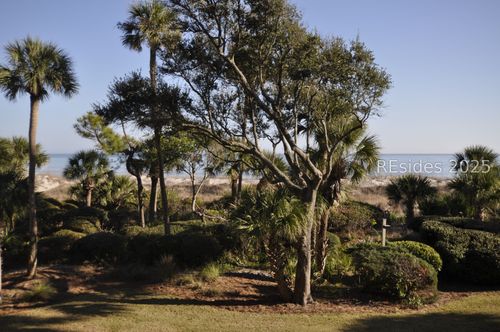 apt-463-21 Ocean Ln, Hilton Head Island, SC, 29928-5175 | Card Image