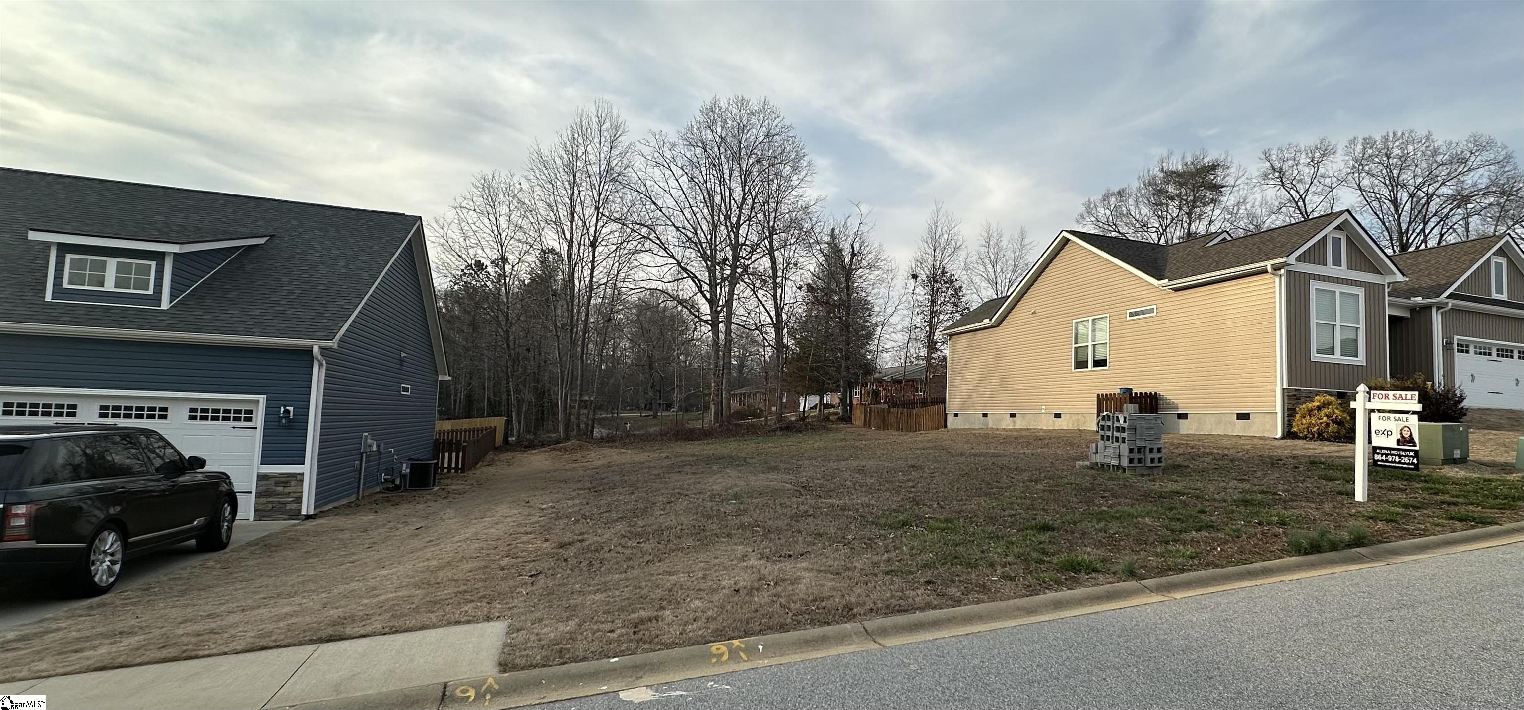 Land in Landrum 3