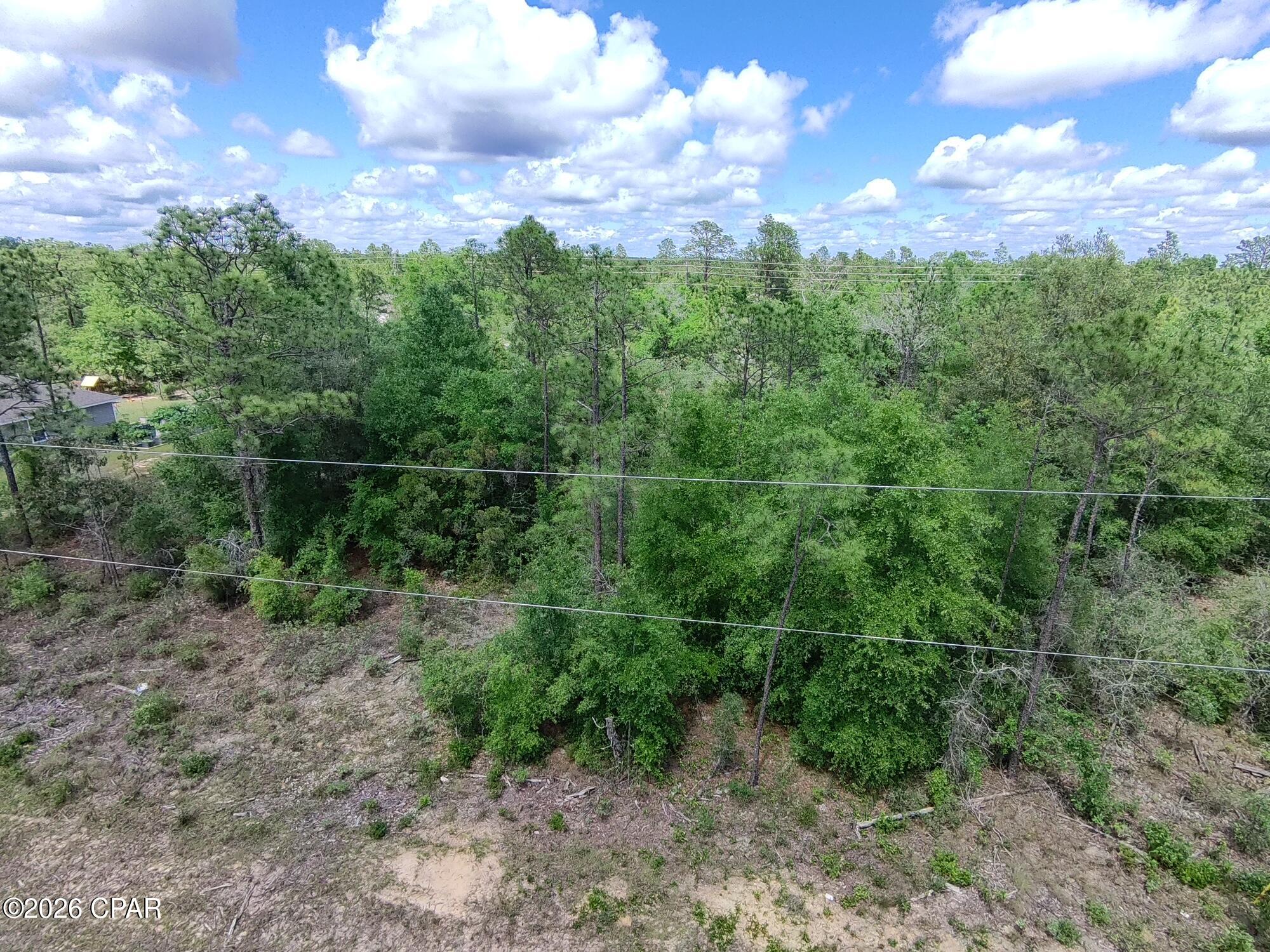 Land in Chipley 4