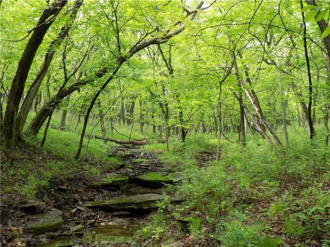 1267 Rock Creek Rd, Home with 0 bedrooms, 0 bathrooms and null parking in Williamsburg KS | Image 16