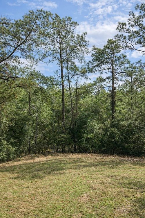 TBD 123 Palmer, Brookeland, TX, 75931 | Card Image