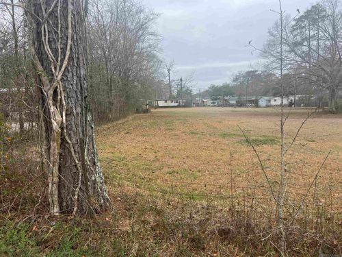 tbd8 Wanda Dr, Springfield, LA, 70462 | Card Image