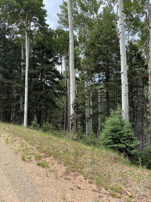 Lot 4 Back Basin Road, Angel Fire, NM, 87710 | Card Image