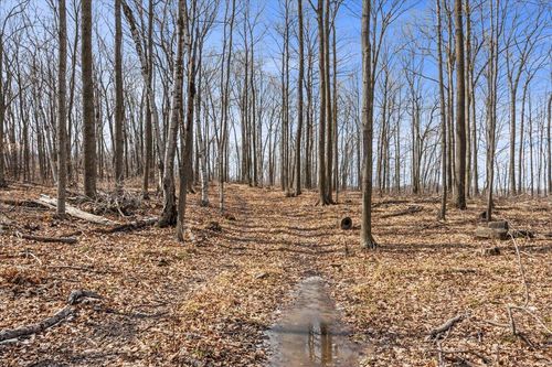 Lt0 Little Elkhart Lake Road, RHINE, WI, 53020 | Card Image