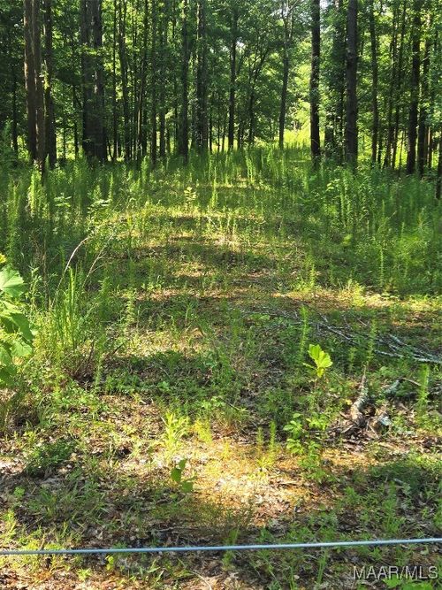 5 Pugh Rd, Mathews, AL, 36052-4712 | Card Image