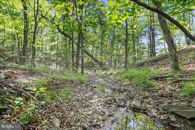 6194 Milo School Rd, House other with 4 bedrooms, 3 bathrooms and null parking in GREAT CACAPON WV | Image 33