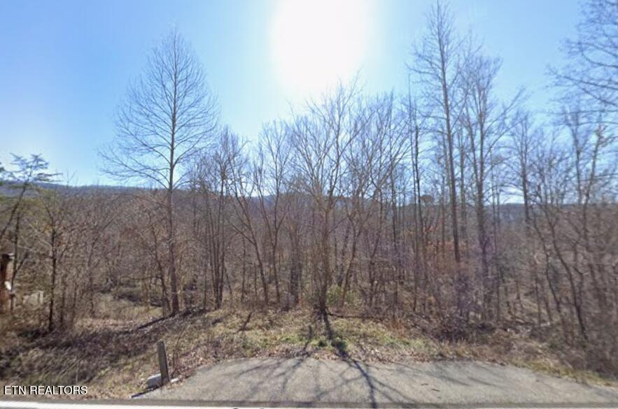 Land in Pioneer