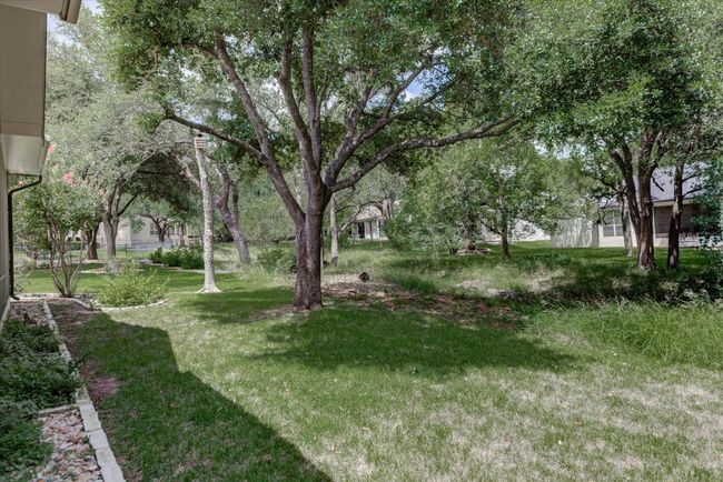 View of green lawn | Image 29
