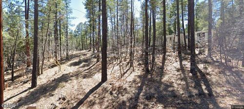 33-1437 E Elk Lane, Pinetop-Lakeside, AZ, 85929 | Card Image