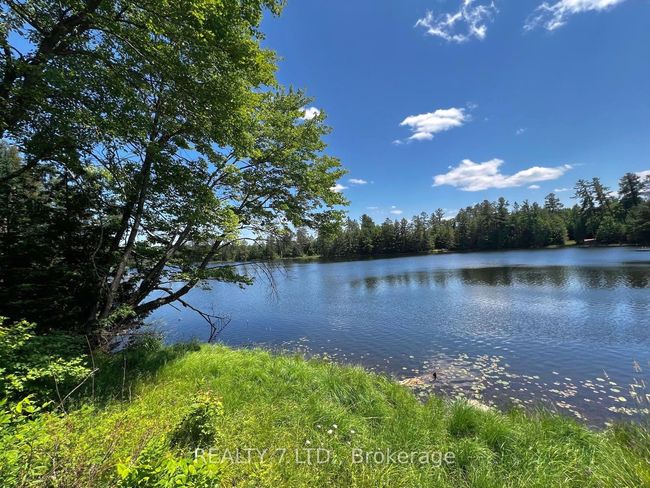 14276 Highway 41, Cloyne Road, Home with 0 bedrooms, 23 bathrooms and null parking in Addington Highlands ON | Image 6