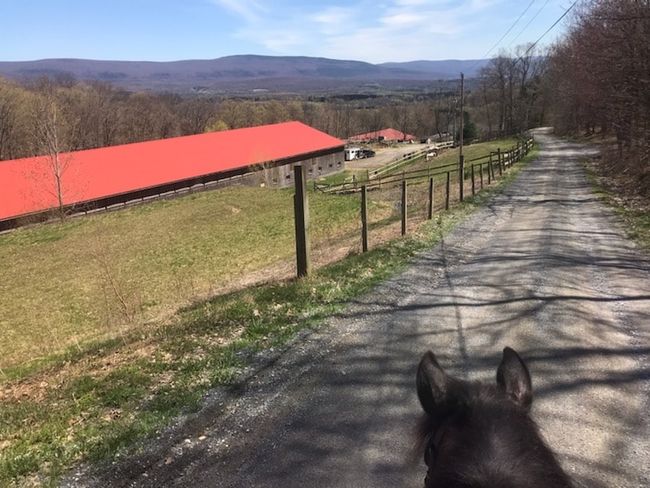 164 Laclair Rd, Home with 0 bedrooms, 0 bathrooms and null parking in Shaftsbury VT | Image 12