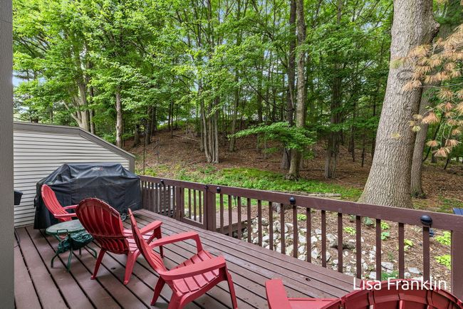 Nature right out your slider and windows | Image 8