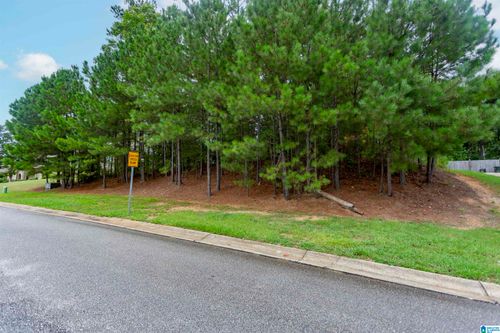 63-293 Woodbridge Trl, CHELSEA, AL, 35043-6288 | Card Image