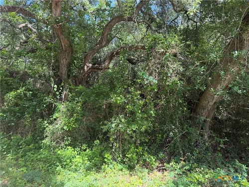 Lot 529 Grand Oak 2, Palacios, TX, 77465 | Card Image