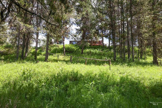 View of yard | Image 47