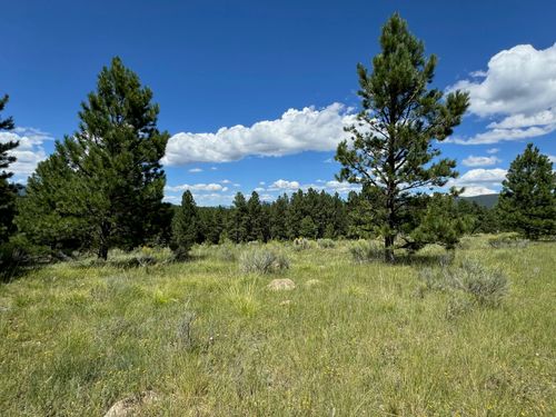 458 Torry Pines Ln, Angel Fire, NM, 87710 | Card Image