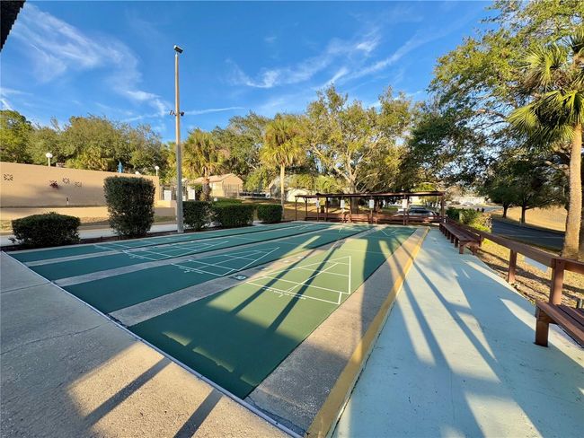 Shuffleboard courts | Image 44