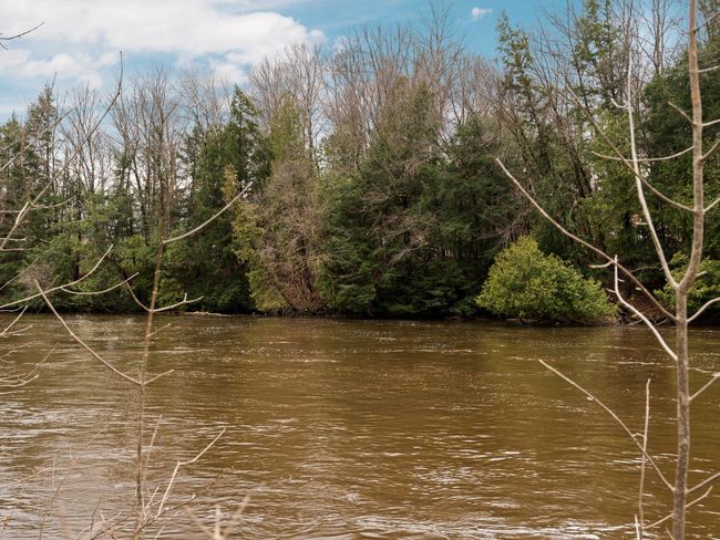 47-web-or-mls-A7406002 | Image 47