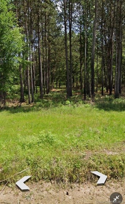 314 Rider Rd, Oberlin, LA, 70655 | Card Image