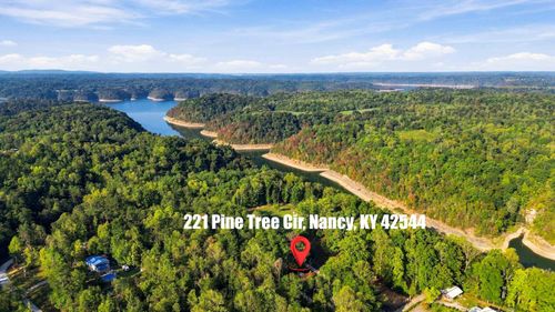 221 Pine Tree Circle Dr, Nancy, KY, 42544-4441 | Card Image
