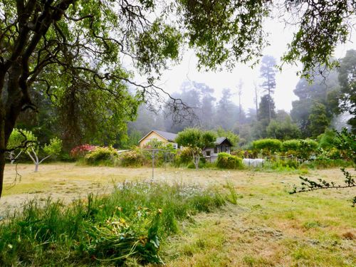 10776 Gurley Ln, Mendocino, CA, 95460-9586 | Card Image