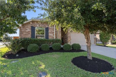 On a beautiful corner lot in the Teravista Golf Course subdivision | Image 2