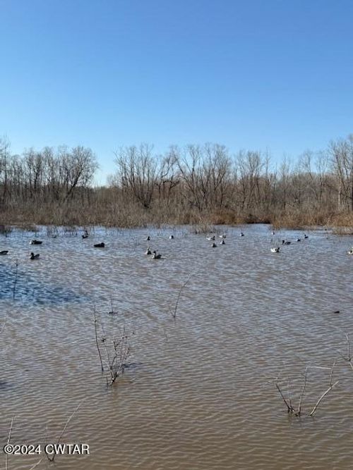 00 Fry Rd, Lavinia, TN, 38348 | Card Image