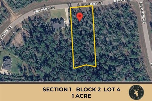284 Iron Horse Rd, New Waverly, TX, 77358 | Card Image