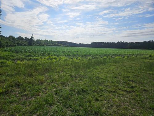 40ac Willoughby Rd, Nichols, SC, 29581 | Card Image