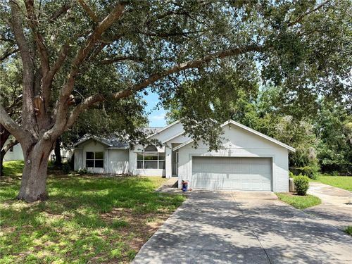 10258 Joanies Run, LEESBURG, FL, 34788-3810 | Card Image