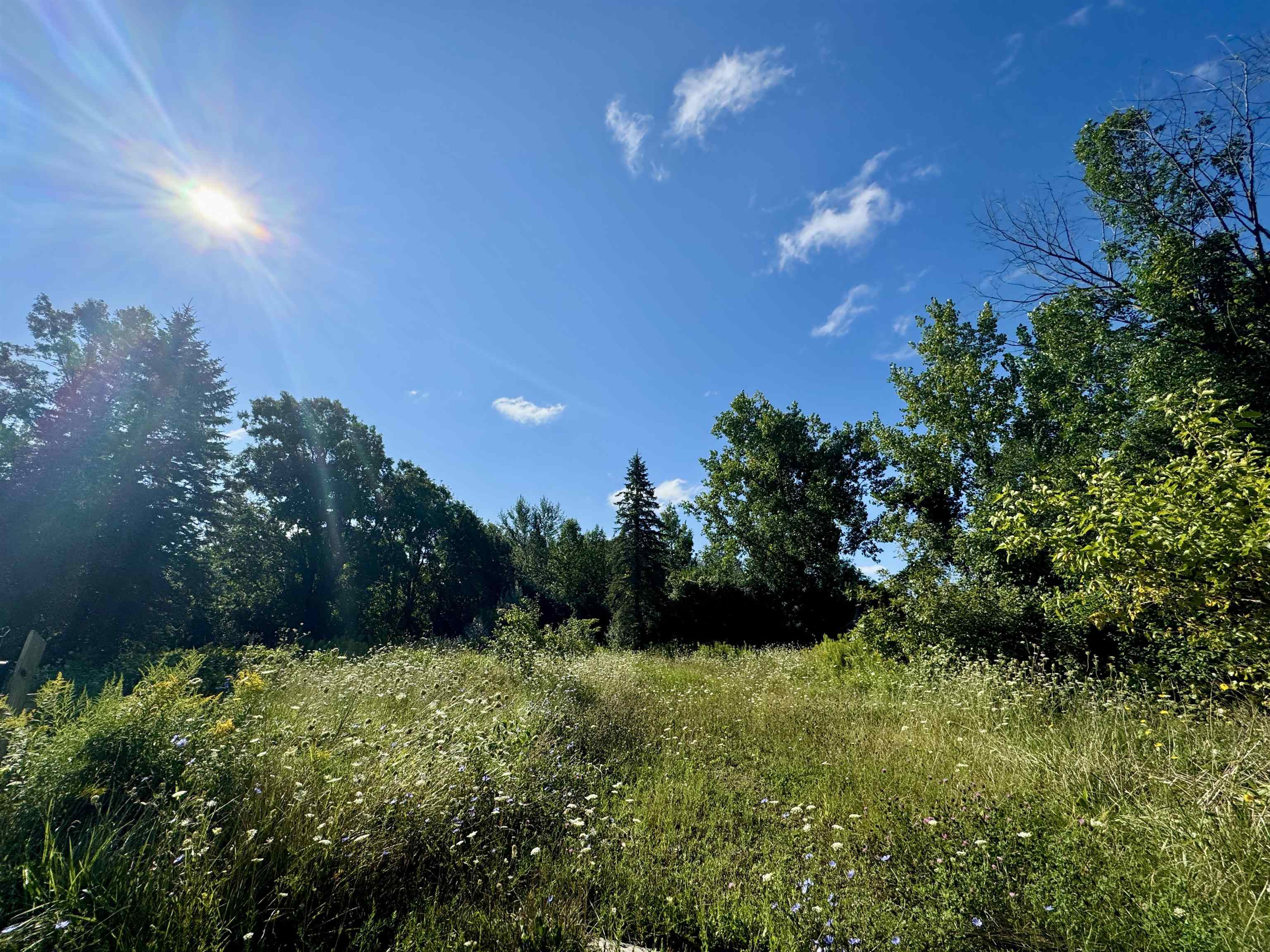 Sherman Rd, Linwood, MI 48634
